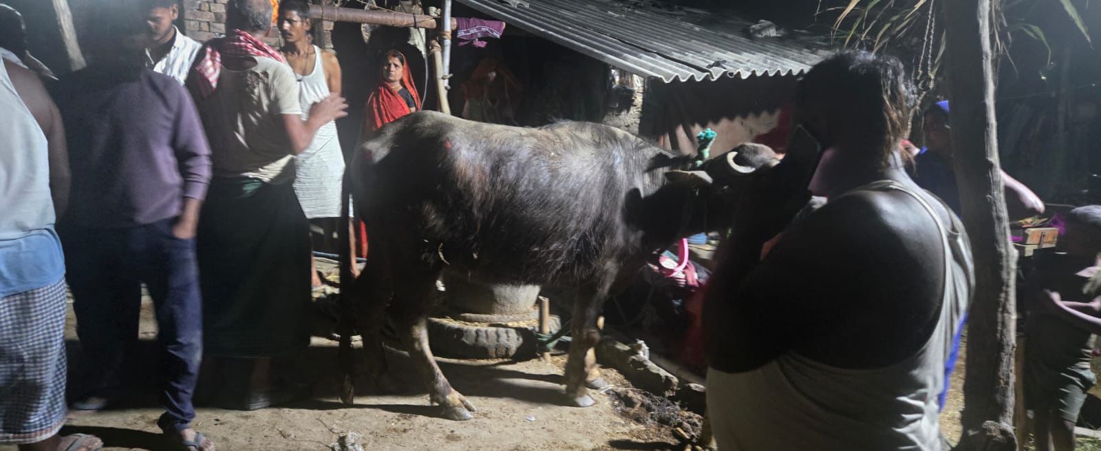 50 फीट गहरे कुएं में गिरी भैंस को 5 घंटे बाद सकुशल निकाला गया